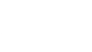 Bruno Ribeiro - Treinador Canino
