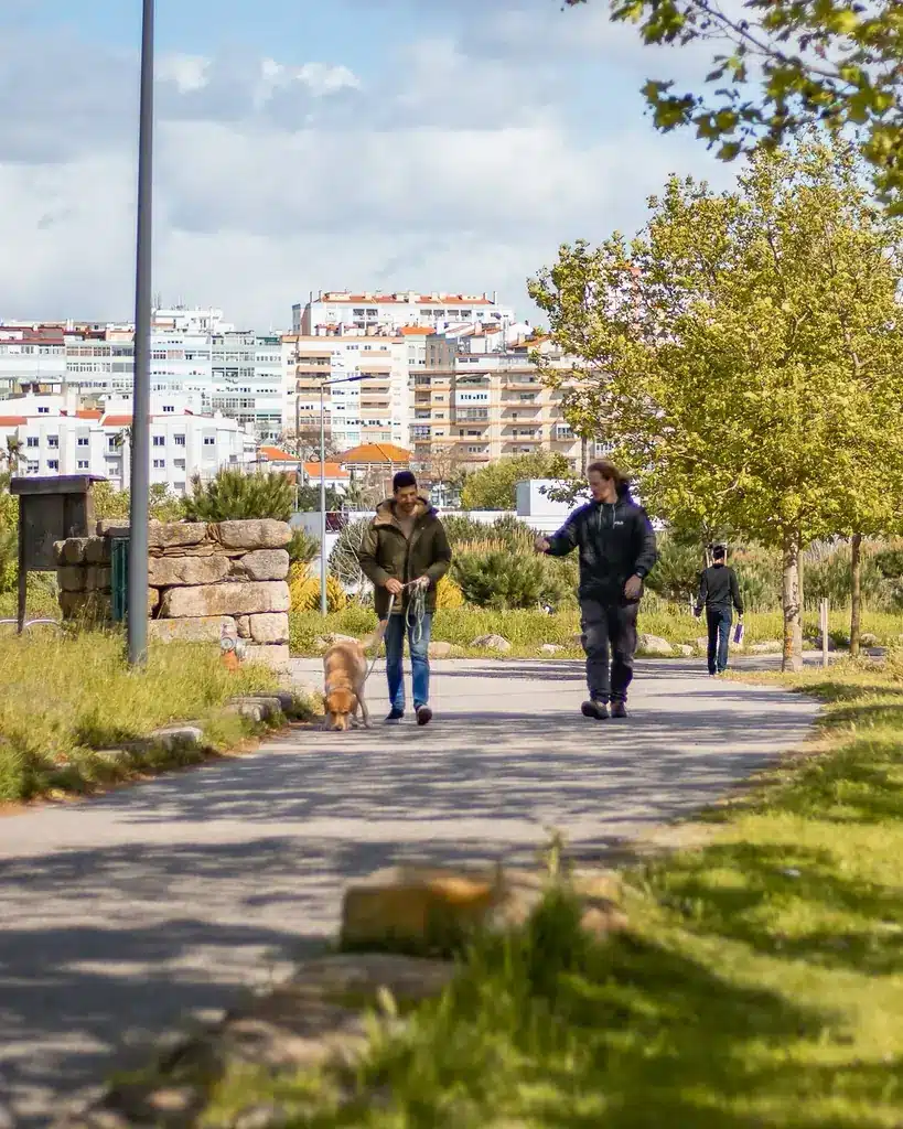 Treino Canino com Bentley