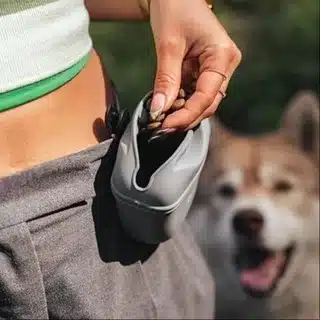 0eb47489-a40c-477c-9d96-d1ead7b3a9a8_71O3GFN7tHL.-AC-SX425- Treino Canino - Border Collie