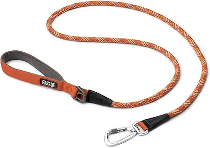 61Y4ILVUxpL._AC_SX425_