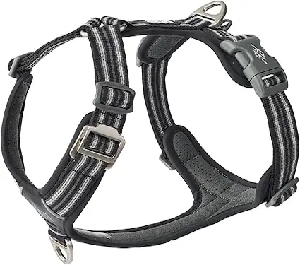 7143hk23CDL._AC_SX425_