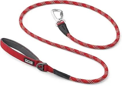 71Eban0ABTL._AC_SX425_