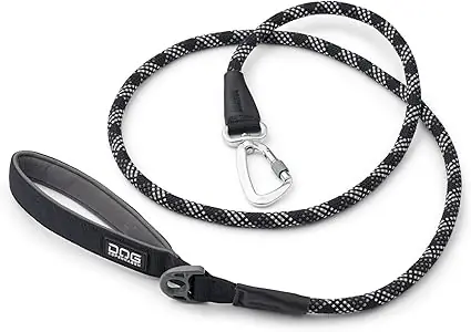 61Y4ILVUxpL._AC_SX425_