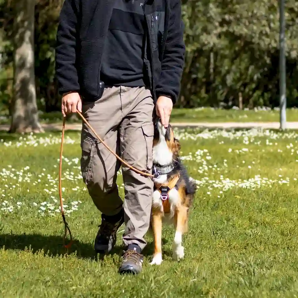 Trela dog copenhagen - Urban Rope Trela dog copenhagen - Urban Rope