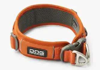 urban-explorer-collar (1)_1