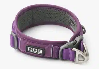 urban-explorer-collar (4)_1