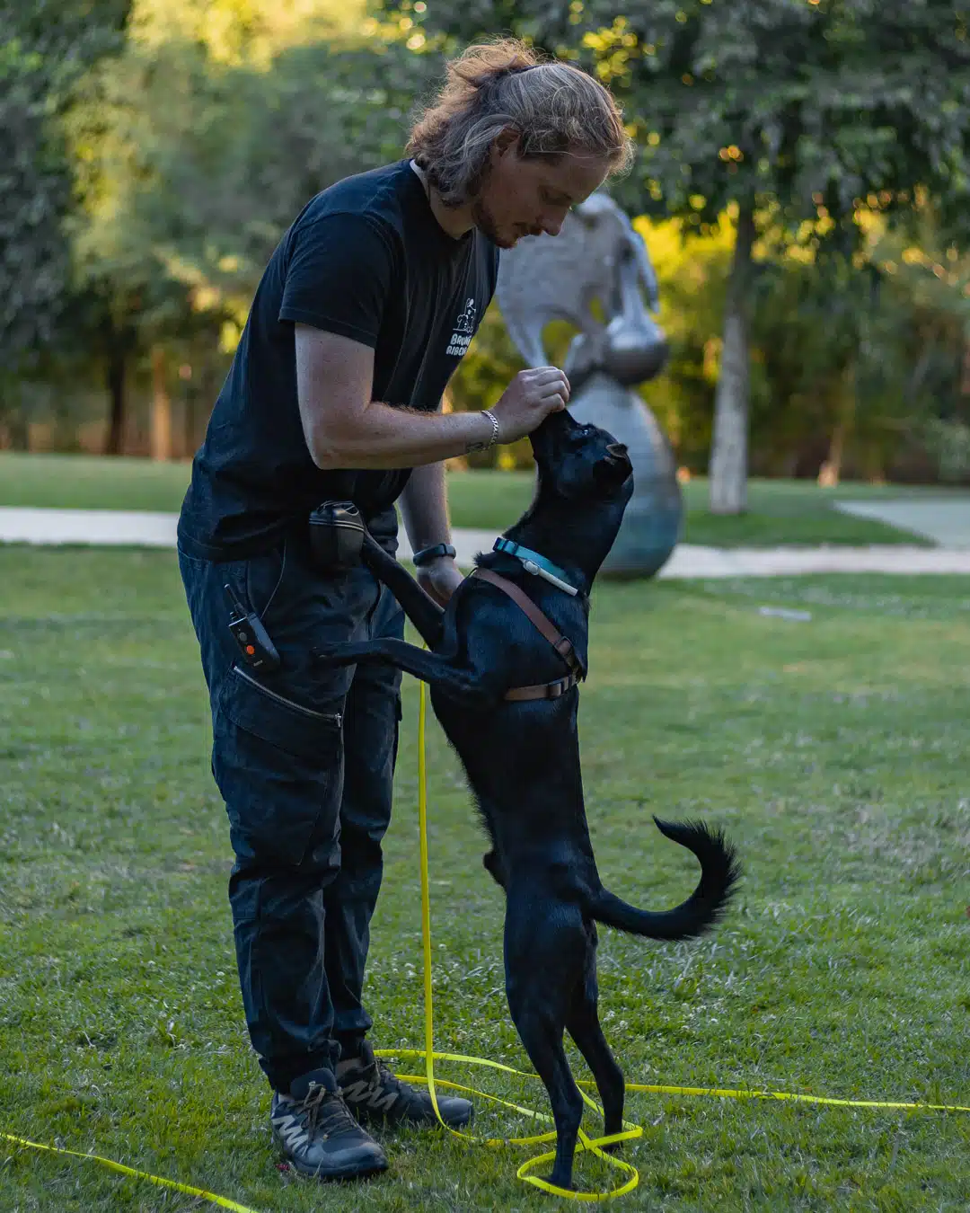 Treino de cães em Algés