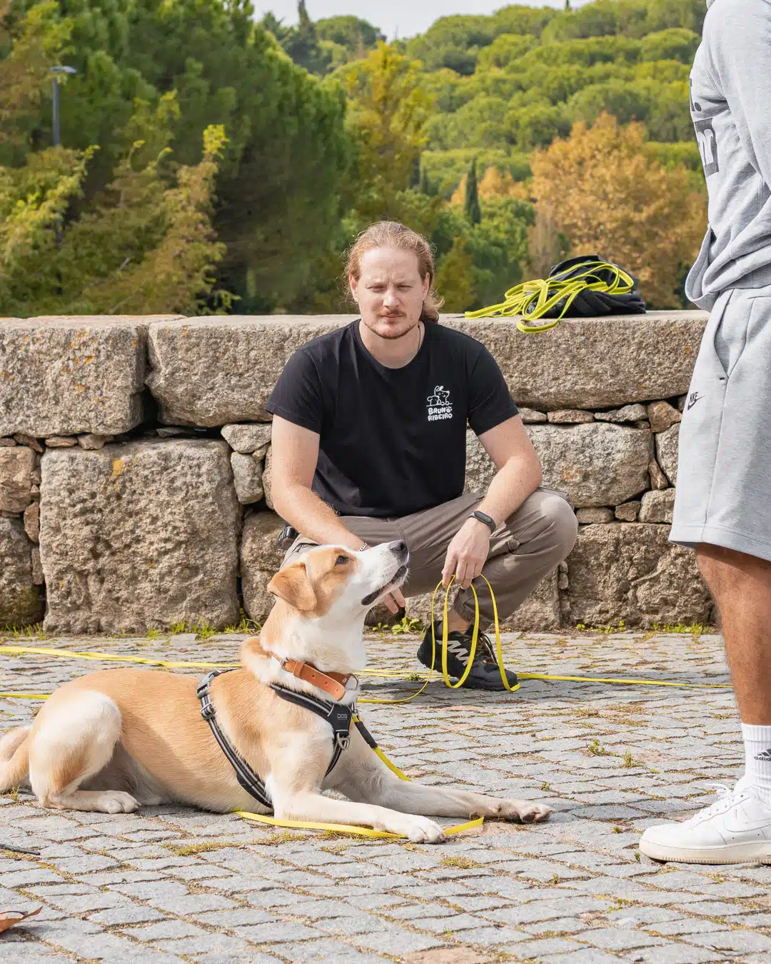 treino canino na margem sul, Almada