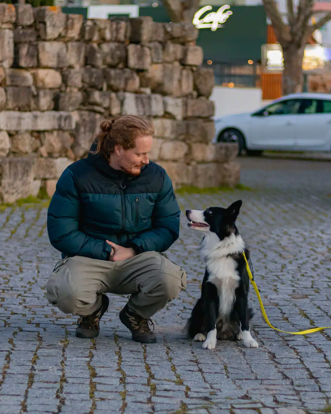 Educação canina de Border Collie Almada